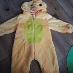 Duck costume