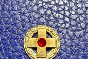 Sterling Silver   Pin