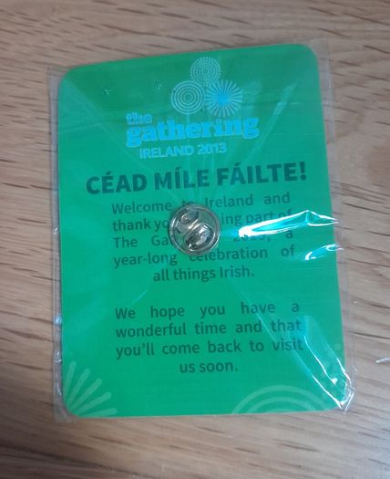 pin from the Gathering 2013