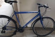 Hybrid bike