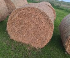 Bales of Hay