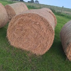 Bales of Hay