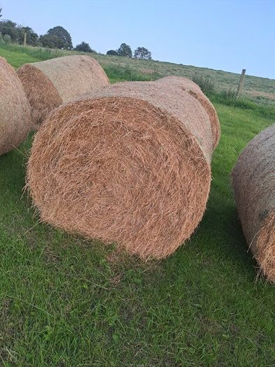 Bales of Hay