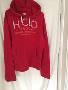Hollister Hoodie