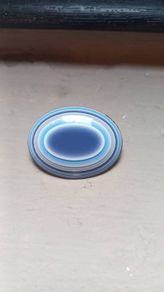 Lovely Lea Stein Brooch