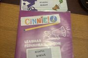 Cinnte 1