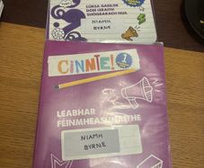 Cinnte 1