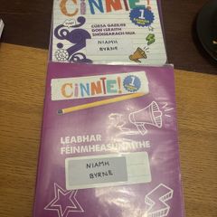 Cinnte 1