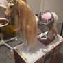 Generation horse trailer and horses Image 6