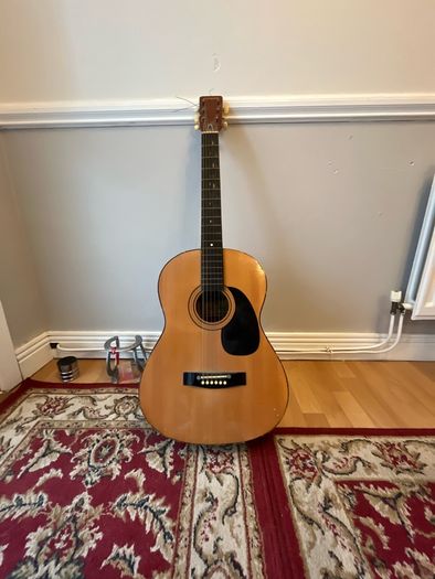 acoustic guitar