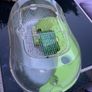 Free Hamster Home Image 6