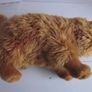 Harry Potter Crookshank Cat Plush soft toy Warner Bros Image 7