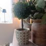 Decorative Ceramic Pot Image 3