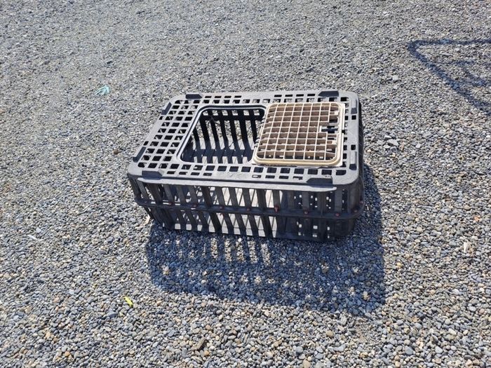 pet cage