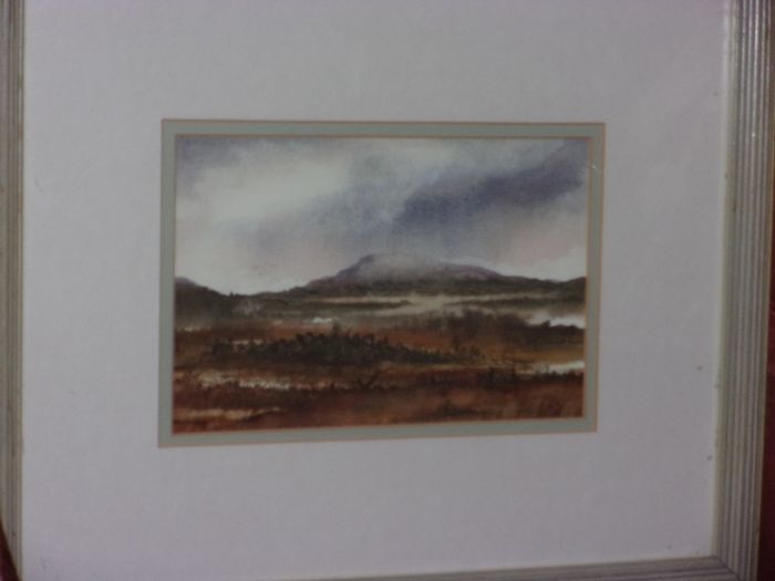 water colour by jess walsh.west of ireland
