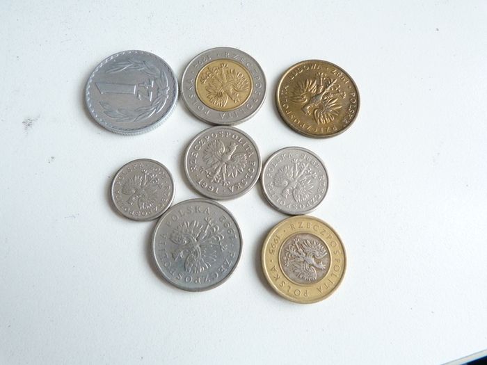 Polish coins