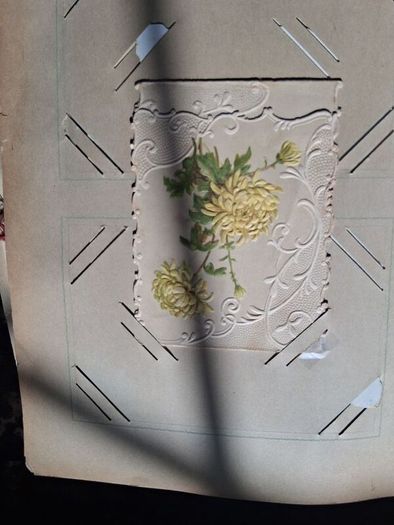 Mega Art Nouveau Postcard Album (197 Pieces)