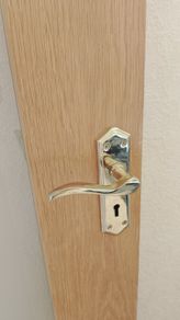 brass door handles