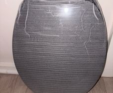 Black toilet seat
