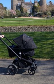 bugaboo fox 5