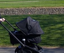 bugaboo fox 5
