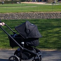 bugaboo fox 5