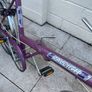 Ladies Bike Image 6