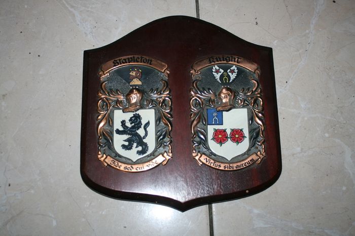 2 Personalized Double Irish Coat of Arms Knight Shield Plaque