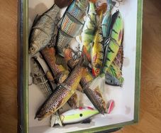 fishing lures