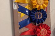 Lemieux toy pony rosettes