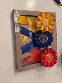 Lemieux toy pony rosettes
