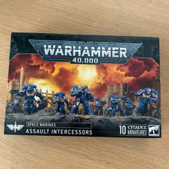 Space Marine Assault Intercessors