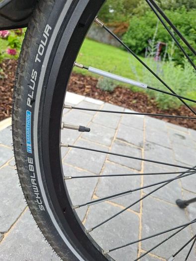 Electric bike