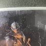 Dark Souls Switch Image 4