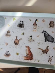 Dining Tray