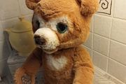 Cubby bear