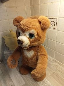 Cubby bear