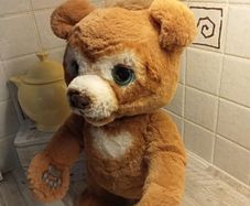 Cubby bear