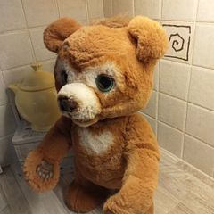 Cubby bear