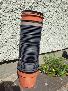 Plant Pots