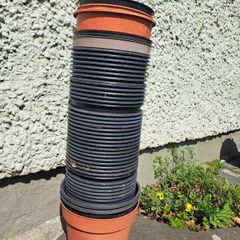 Plant Pots