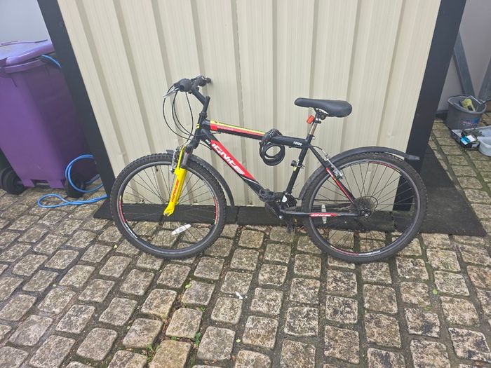Mens mountain bike