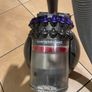 Dyson Animal2 Image 2