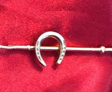 tie pin/scarf pin