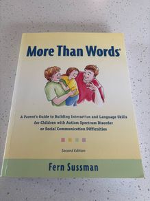 More Than Words Second Edition