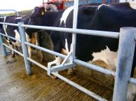 main image for ad Anti-backing Crush Bar Universal..free Delivery