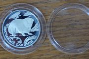 1 Rouble 1996 y. silver. Russia
