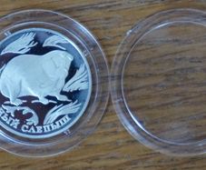 1 Rouble 1996 y. silver. Russia