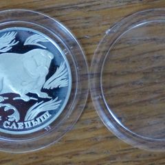 1 Rouble 1996 y. silver. Russia