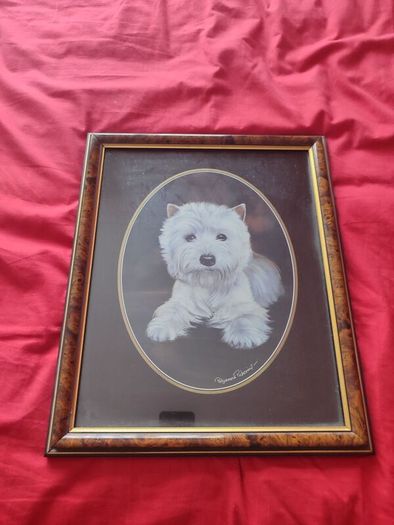 Collection Of Pictures